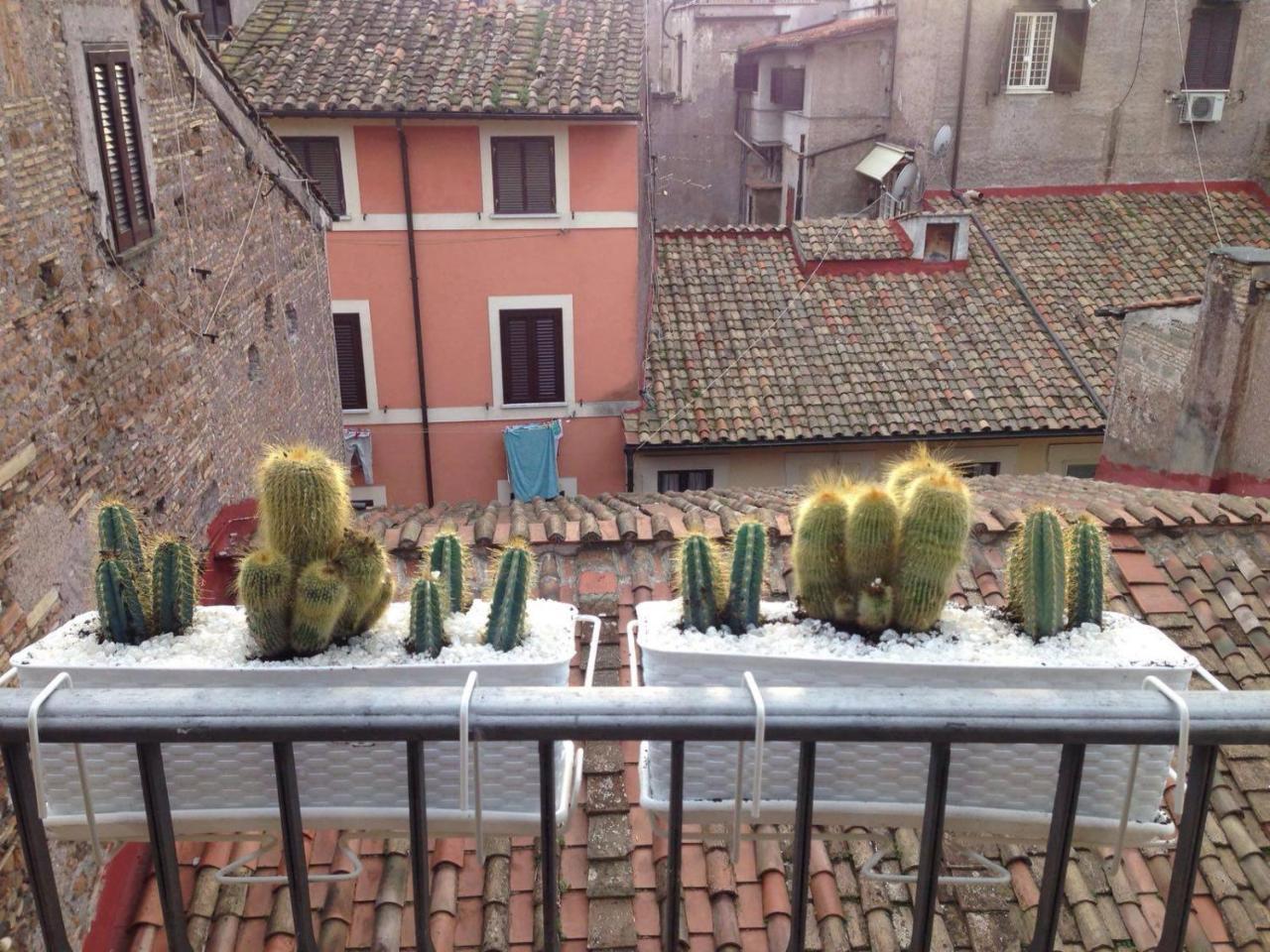 Bbhomerome - Campo Dei Fiori Balcony View Penthouse * Roma