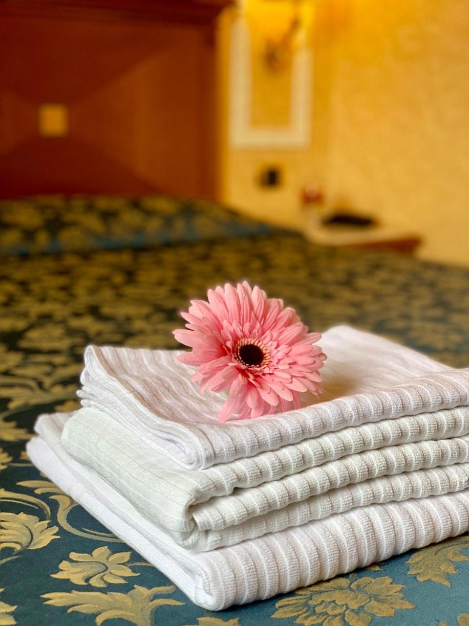 Hotel Amalia Vaticano Roma