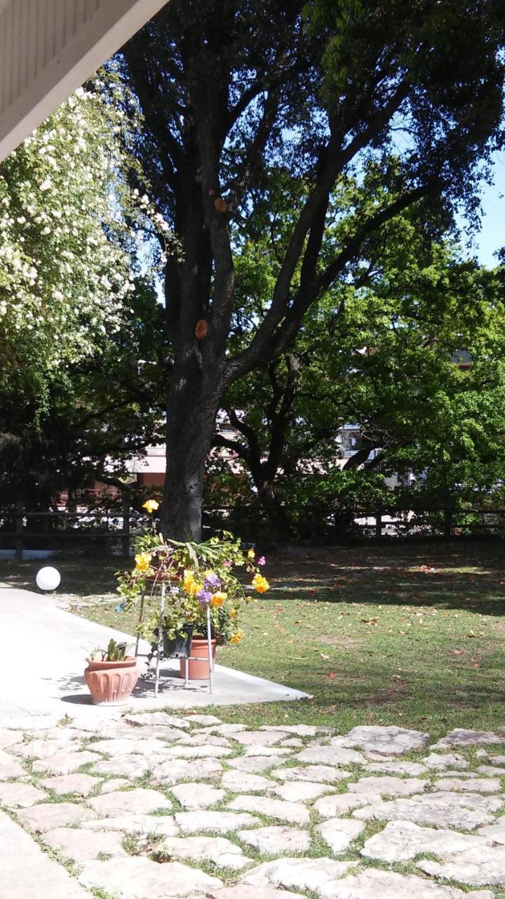 Relais La Canfora Roma