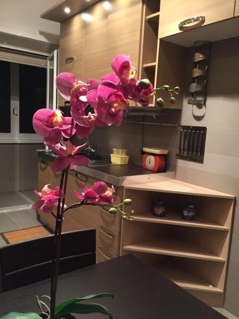 Smart House - Ammiragli2 * Rome