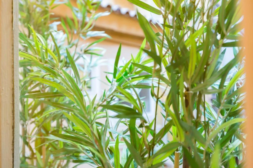 Spanish Step Nest Luxury Appartamento