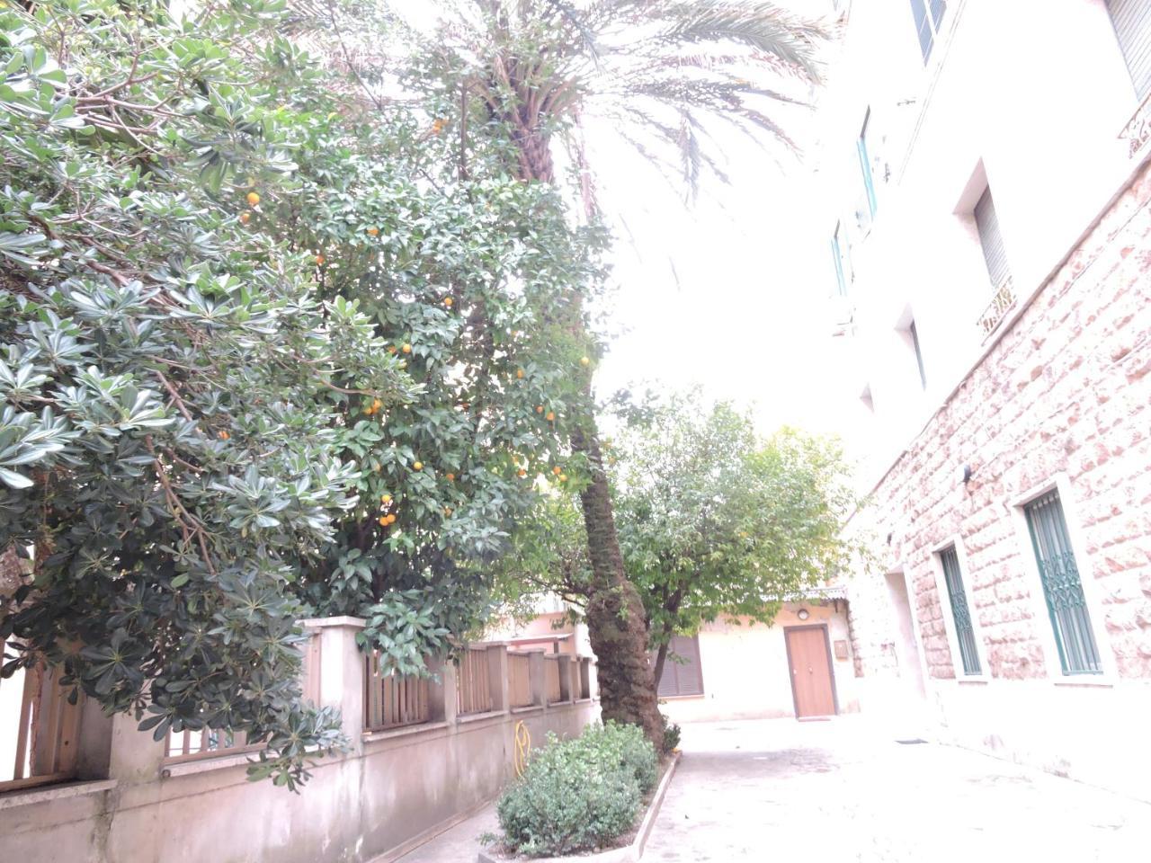 Domus Angelica Apartamento