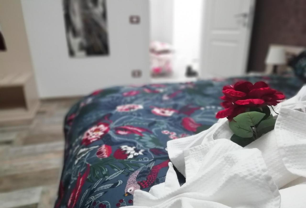 Apartamento Domus Angelica