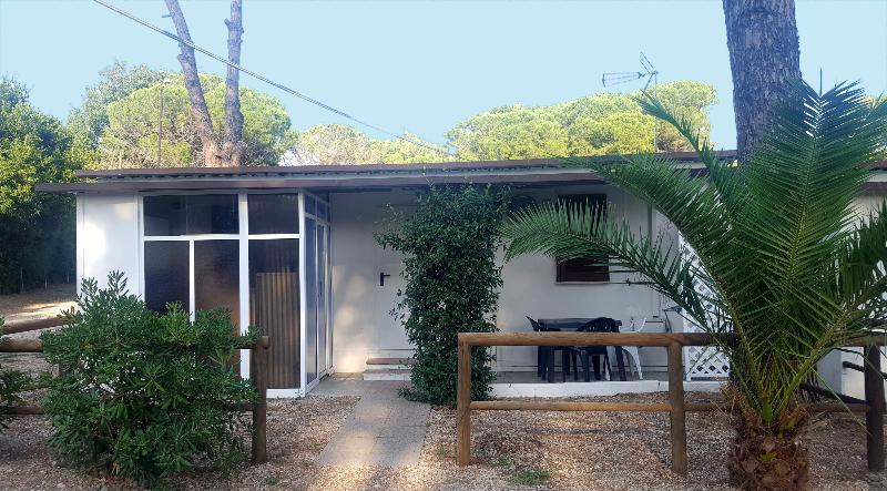 Aurelia Club