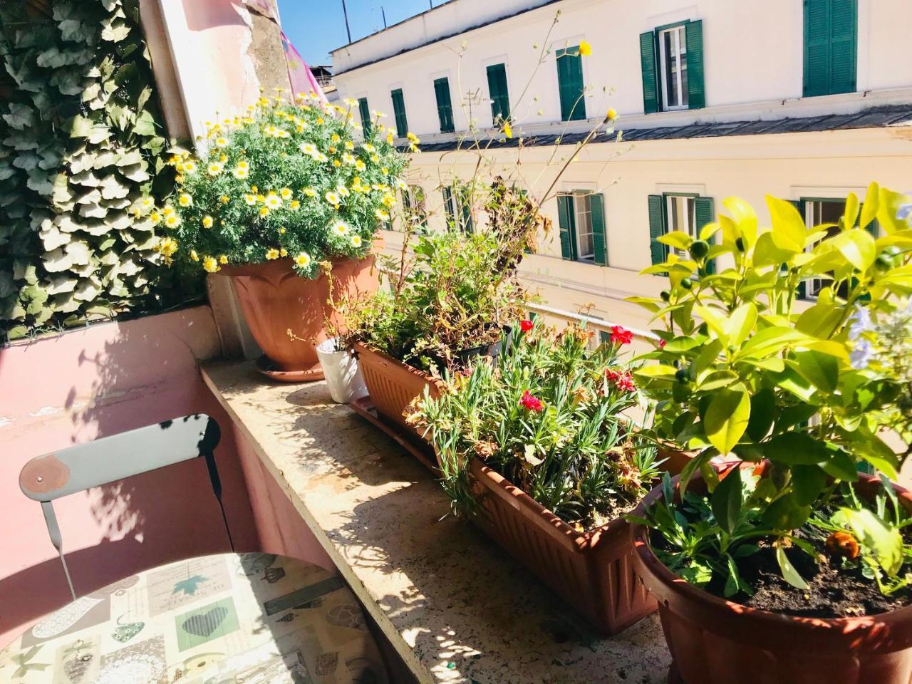 Affittacamere When In Roma