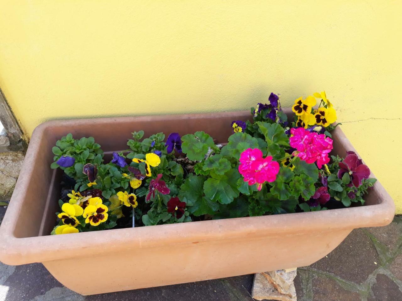 Flowery House Apartamento