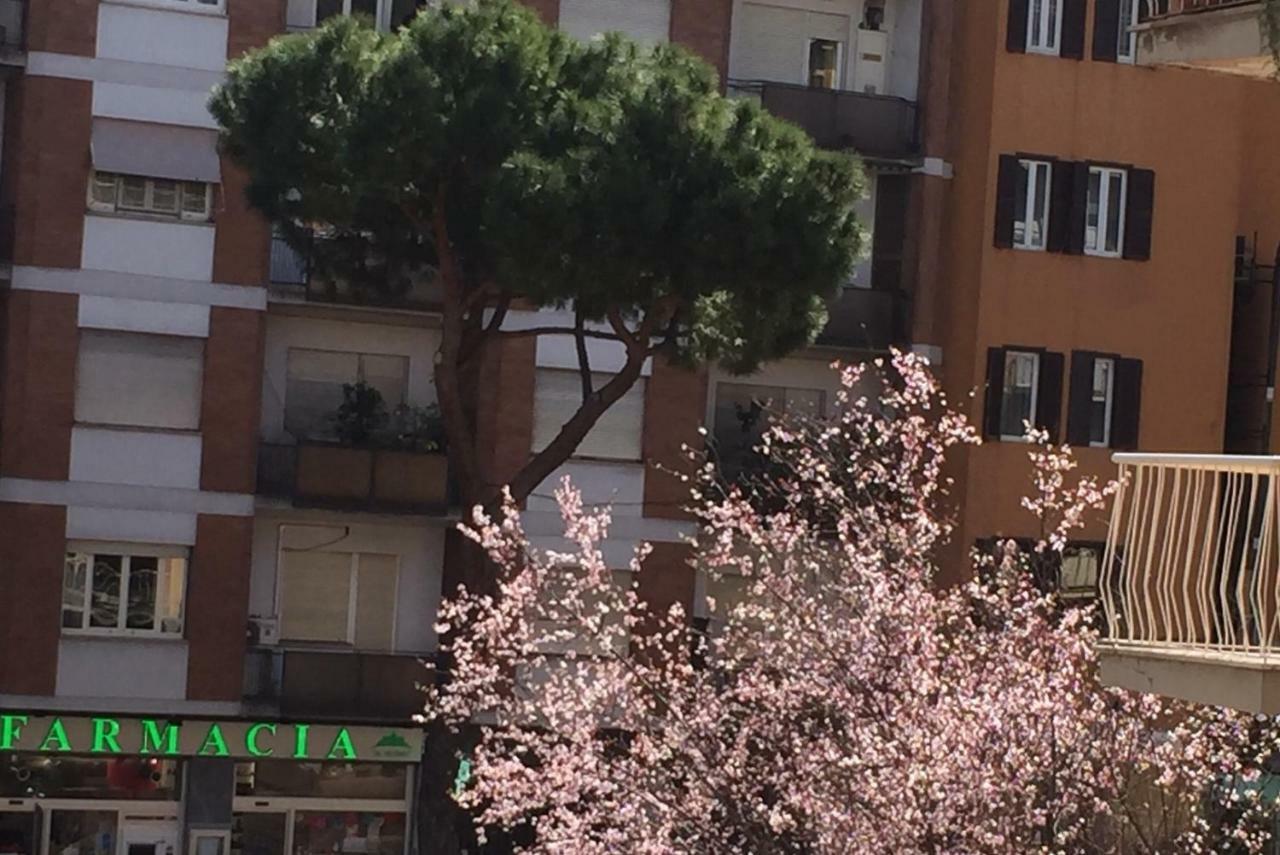 Sweet Saint Peter Appartamento
