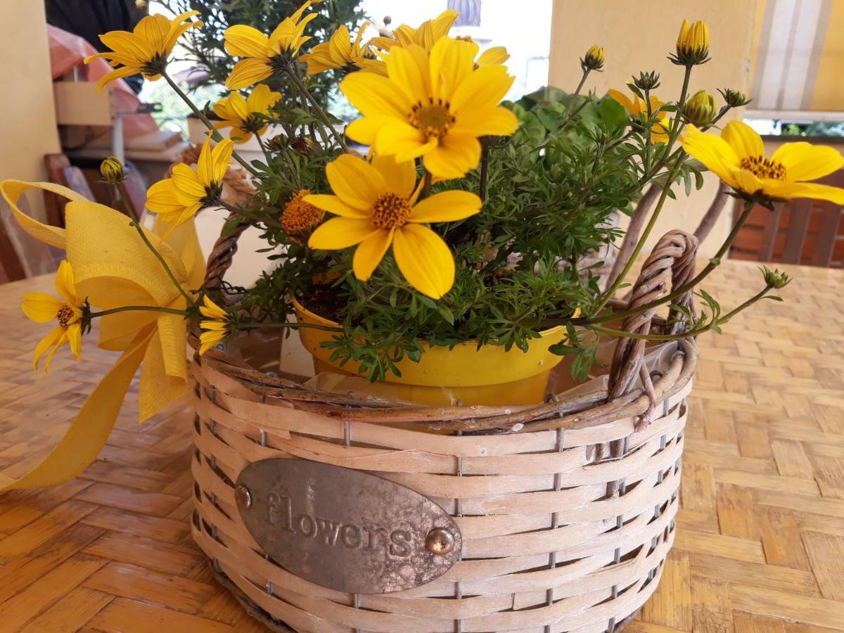 Flowery House Apartamento Roma