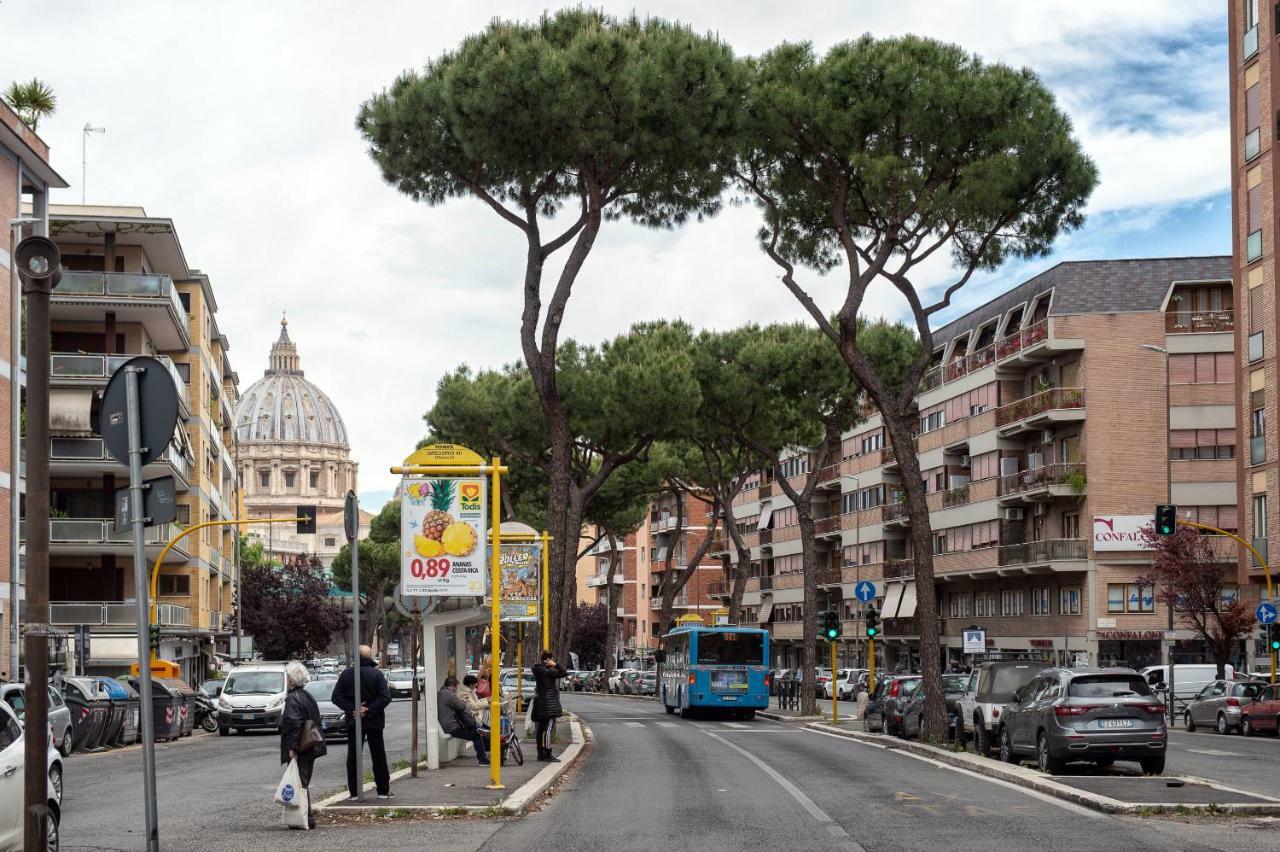 St. Peter Area Luxury