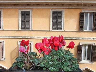 Hotel Garda 3*