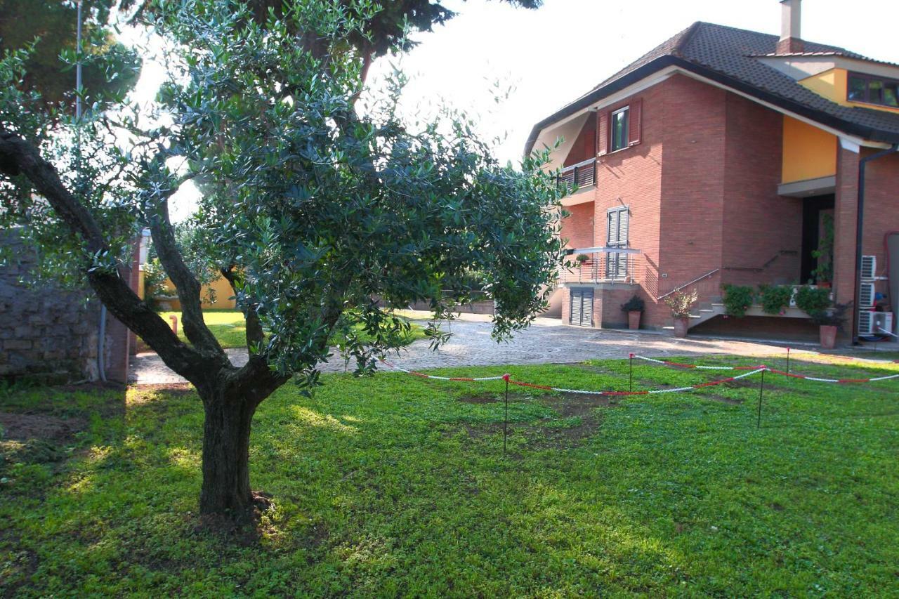 My Domus Pensión