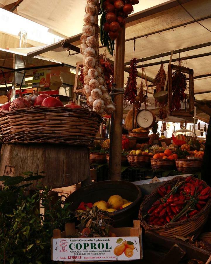 Campo24roma