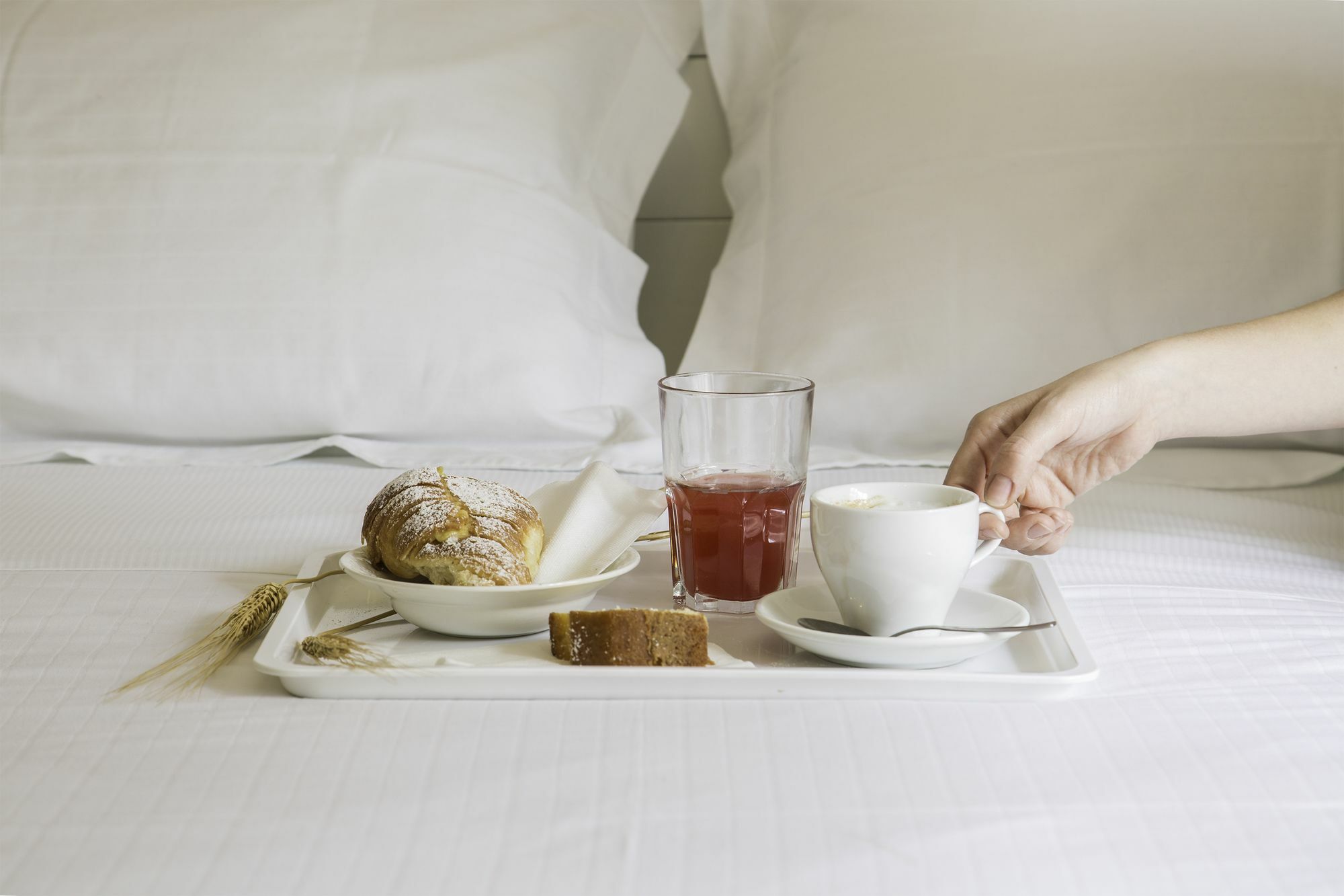 Talenti Breme Bed & Breakfast Roma