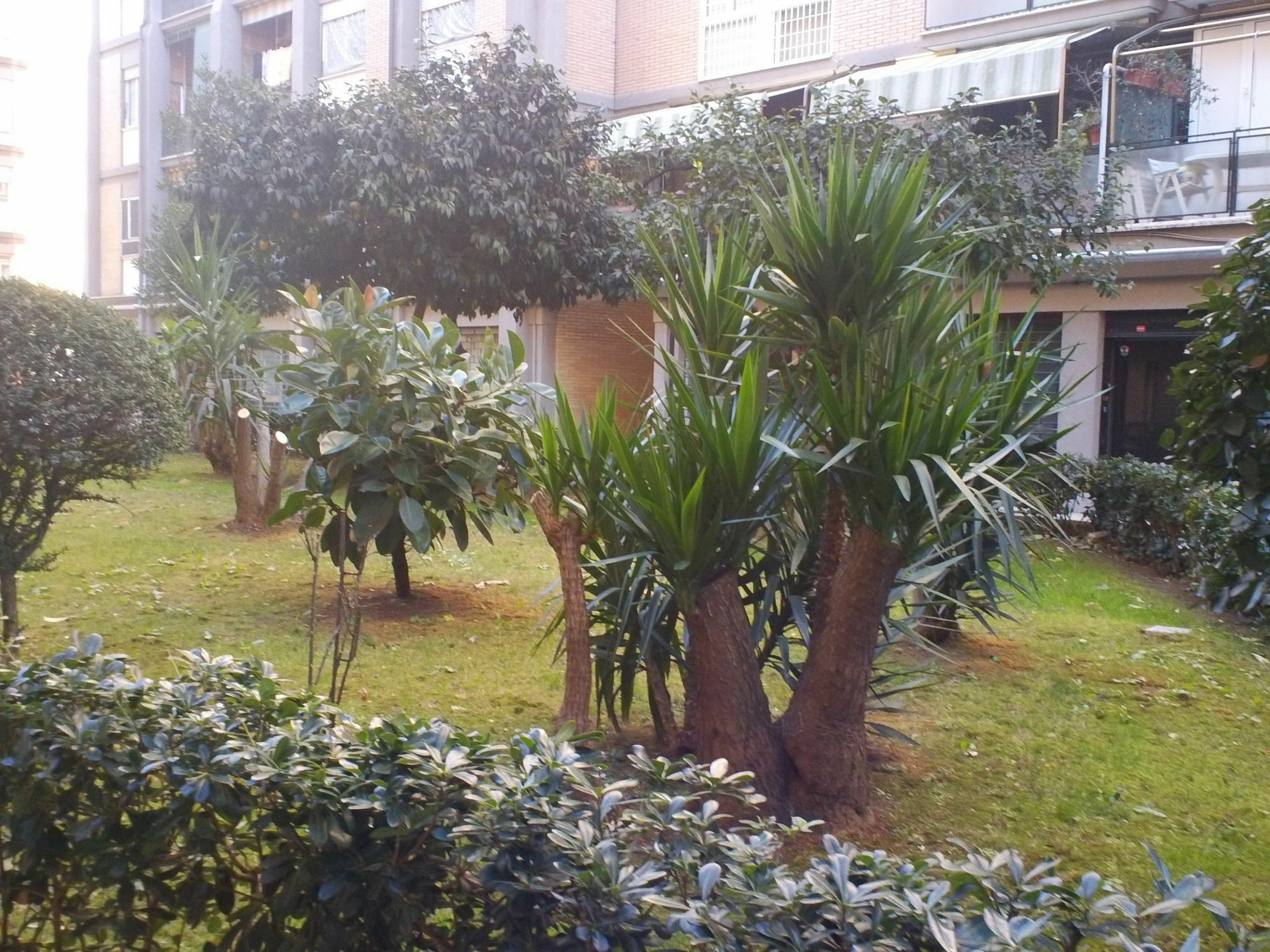 Bed & Breakfast Romantica Roma