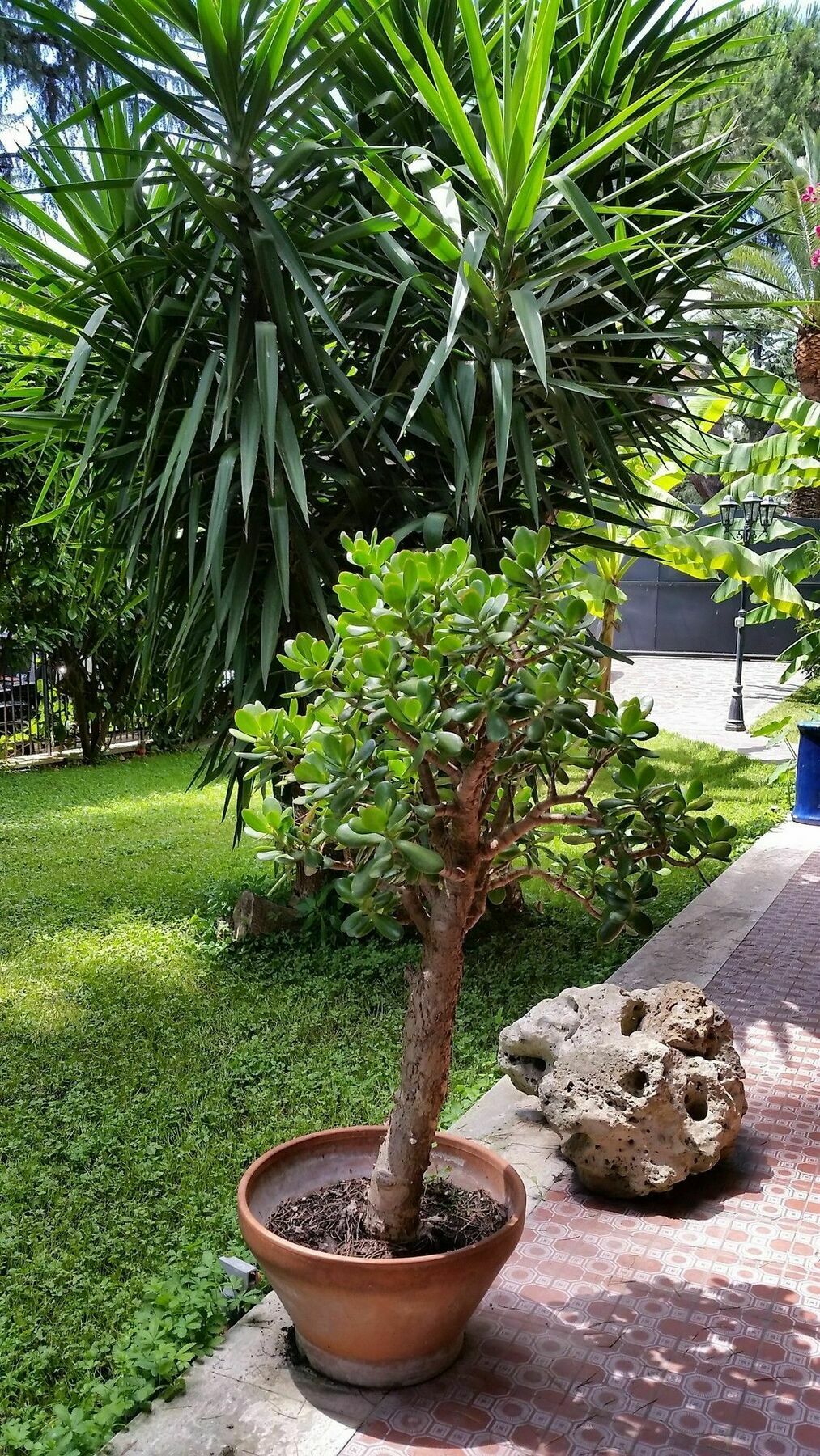 Il Giardino Di Giulia 2 Hotel 3*