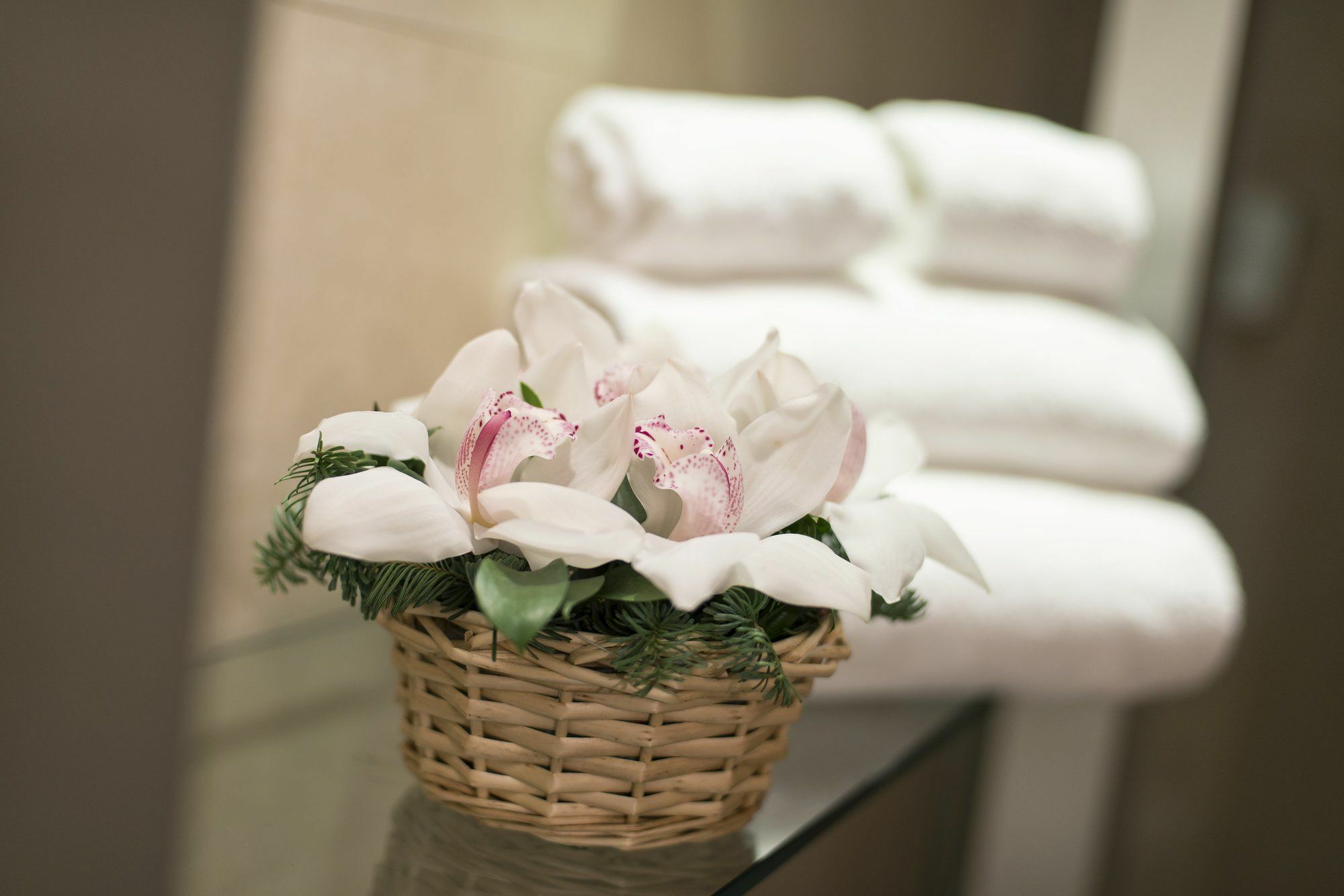 Affittacamere Relais Maddalena