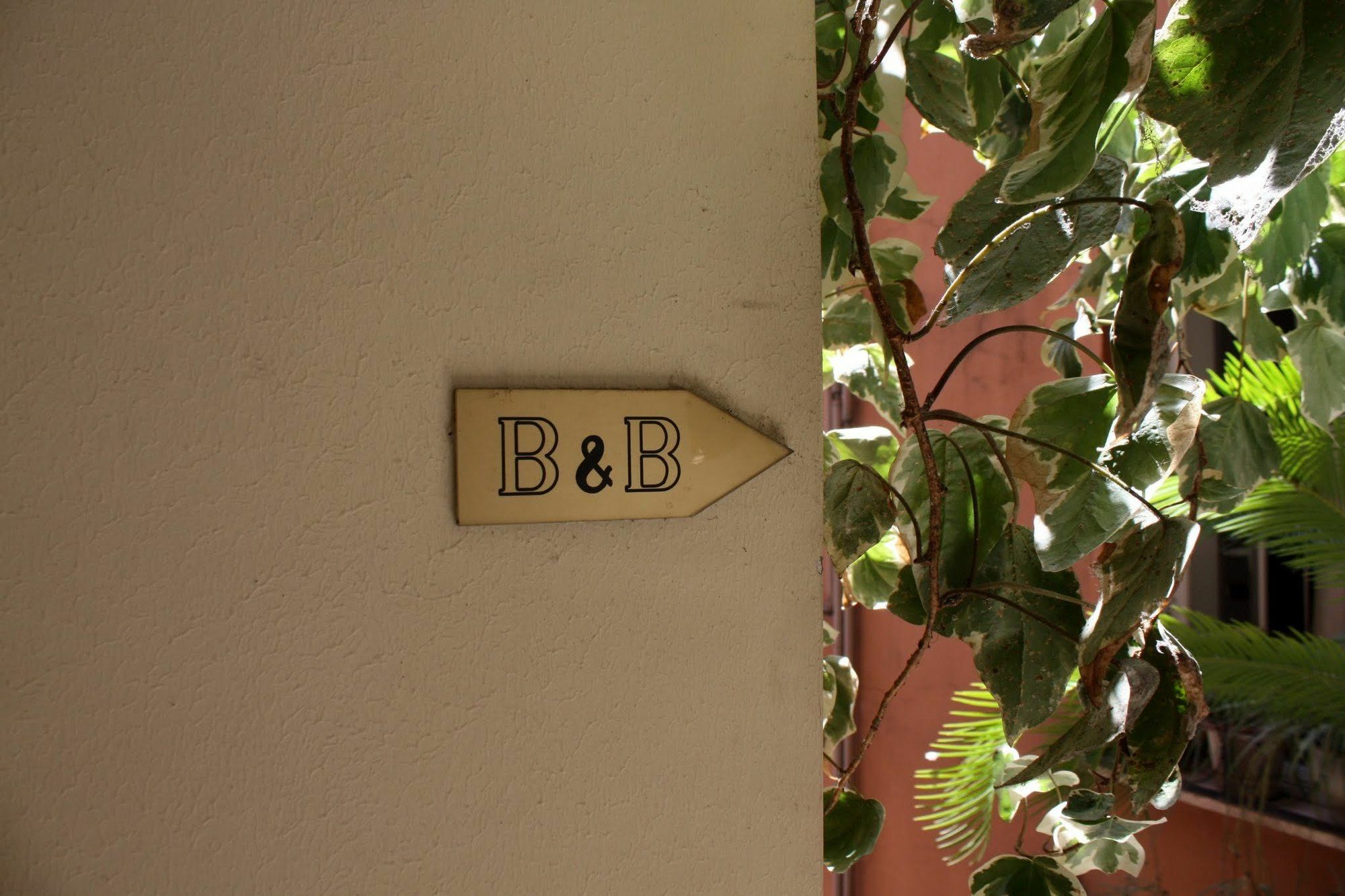 Federici Guest house 3*