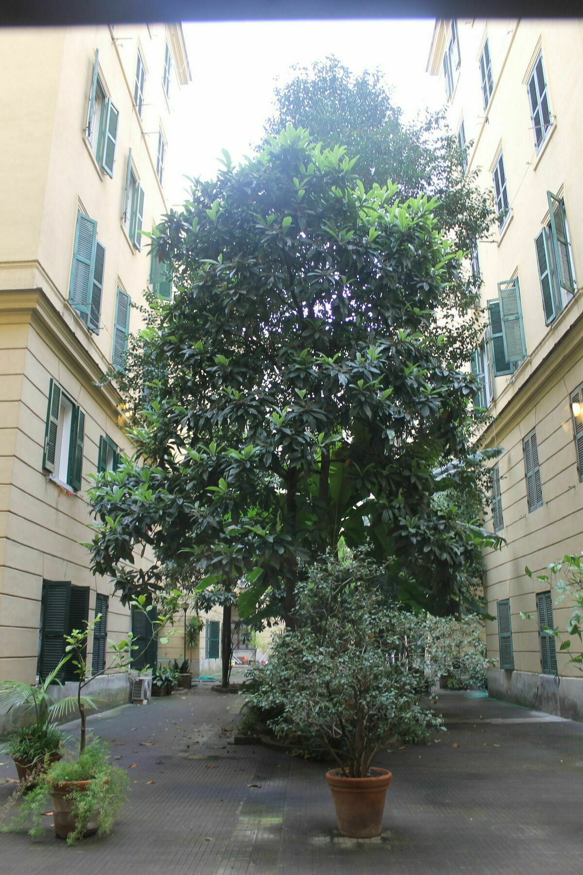 Bed & Breakfast Rovati Roma