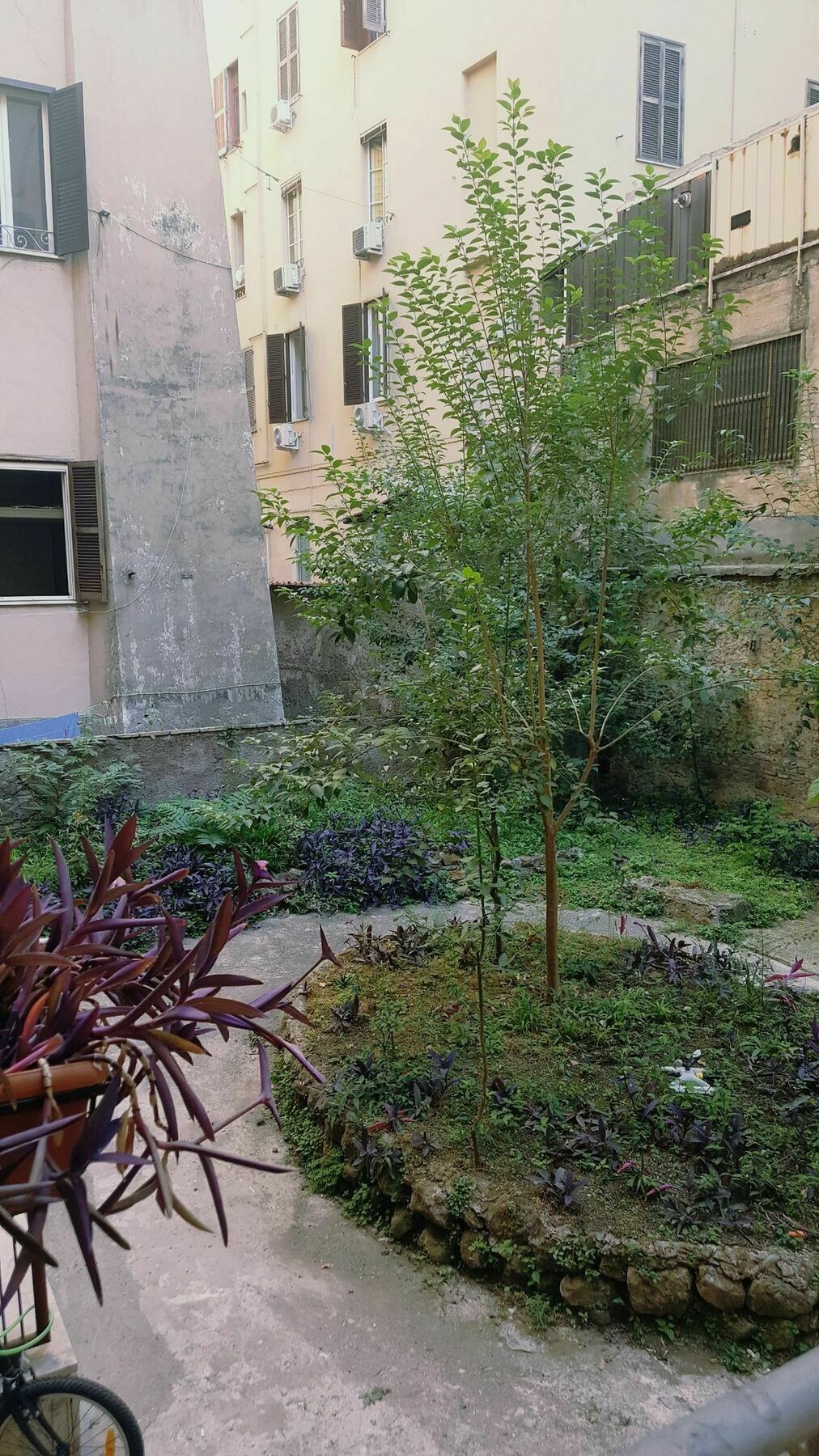 Casa de hóspedes Marcelina Vaticans 2*