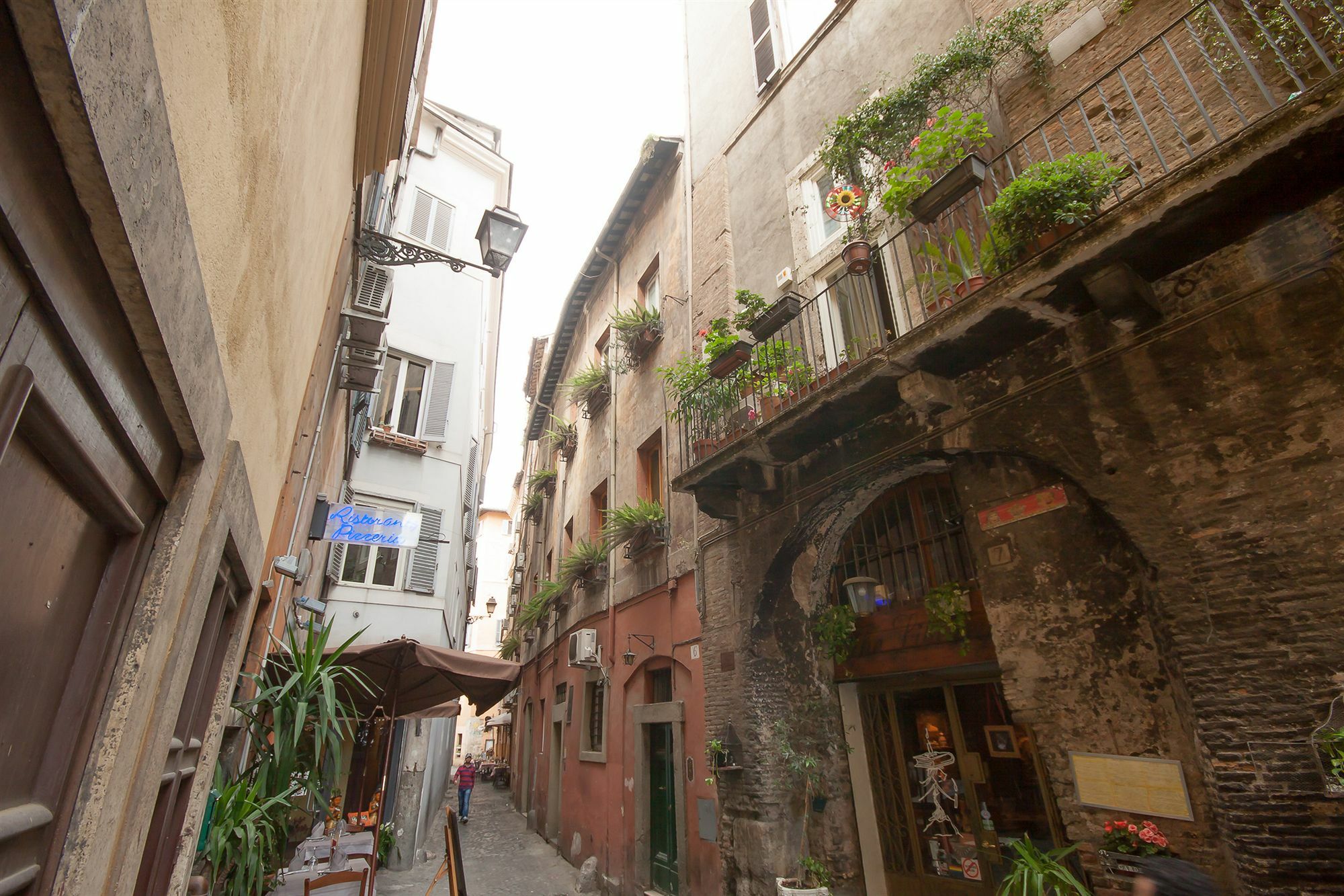 Appartamento Il Glicine - Navona *