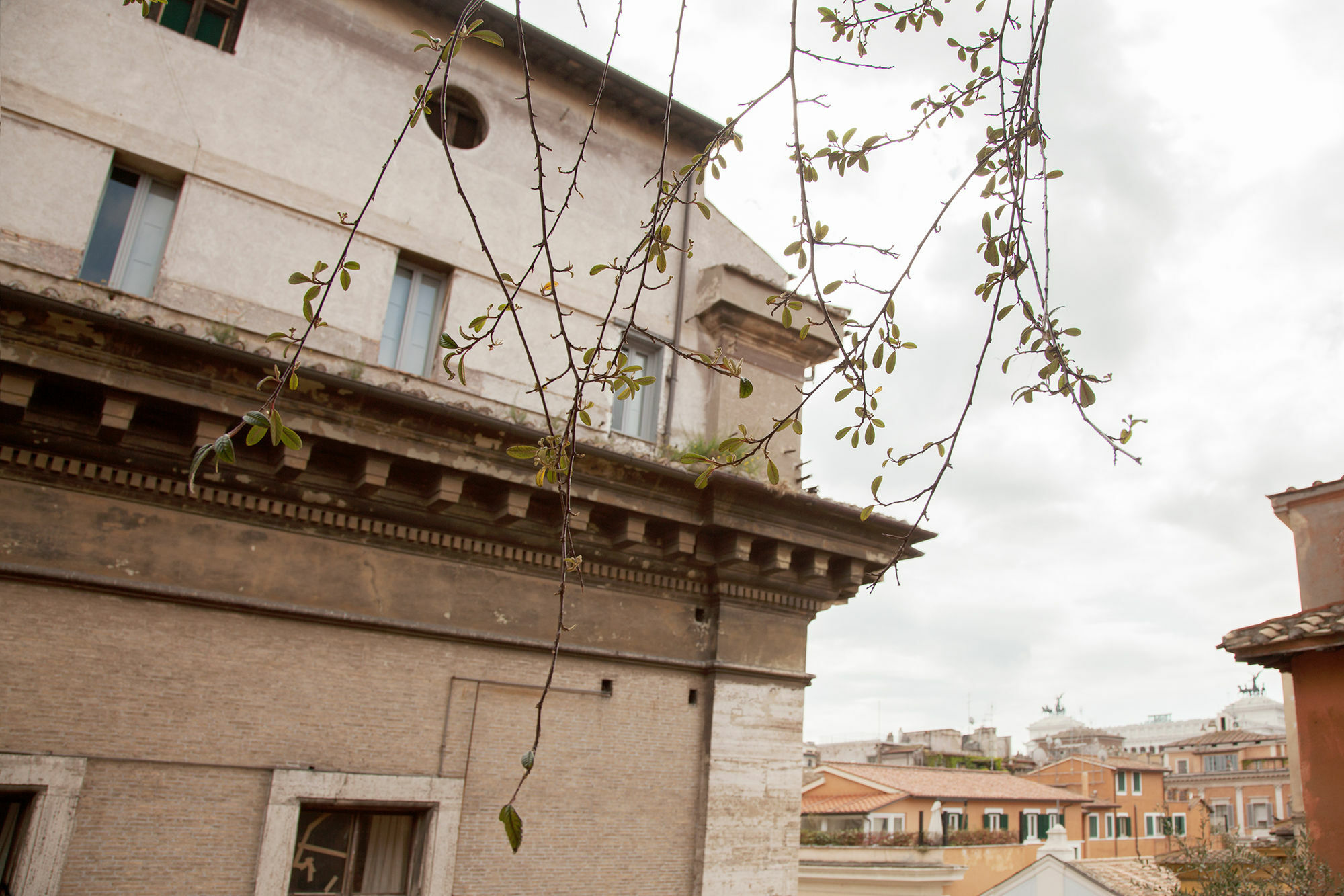Rsh Navona Roma