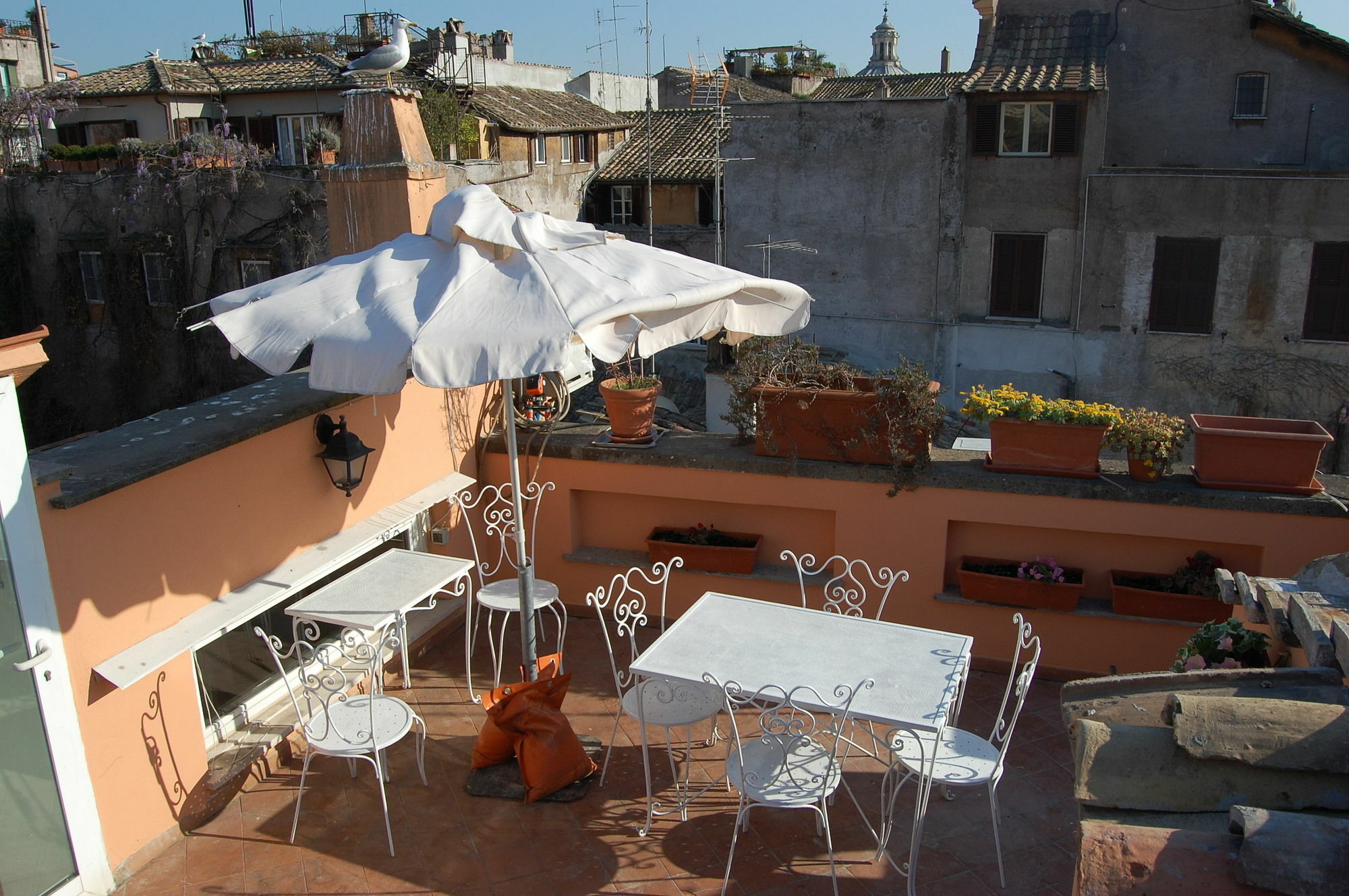Rsh Navona