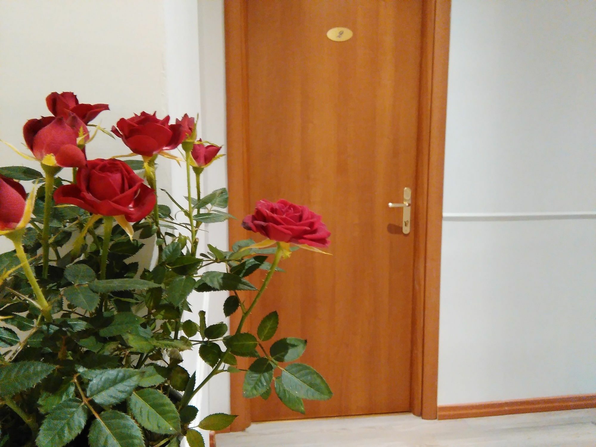 Borghese 3* Roma