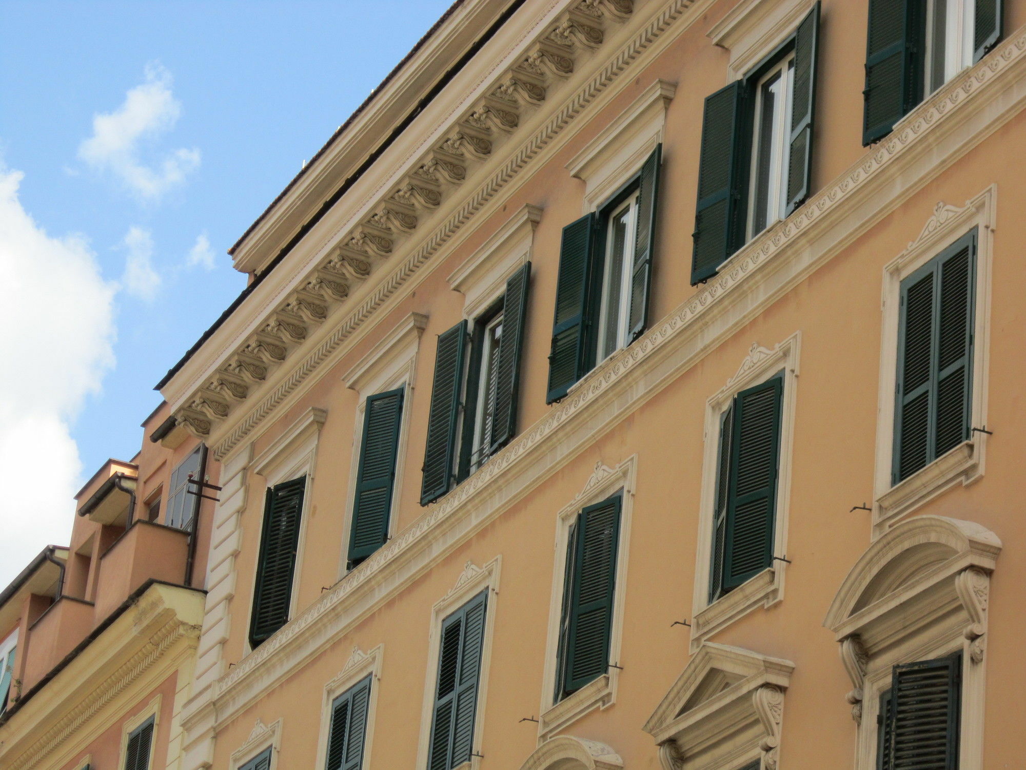 Evergreen Roma