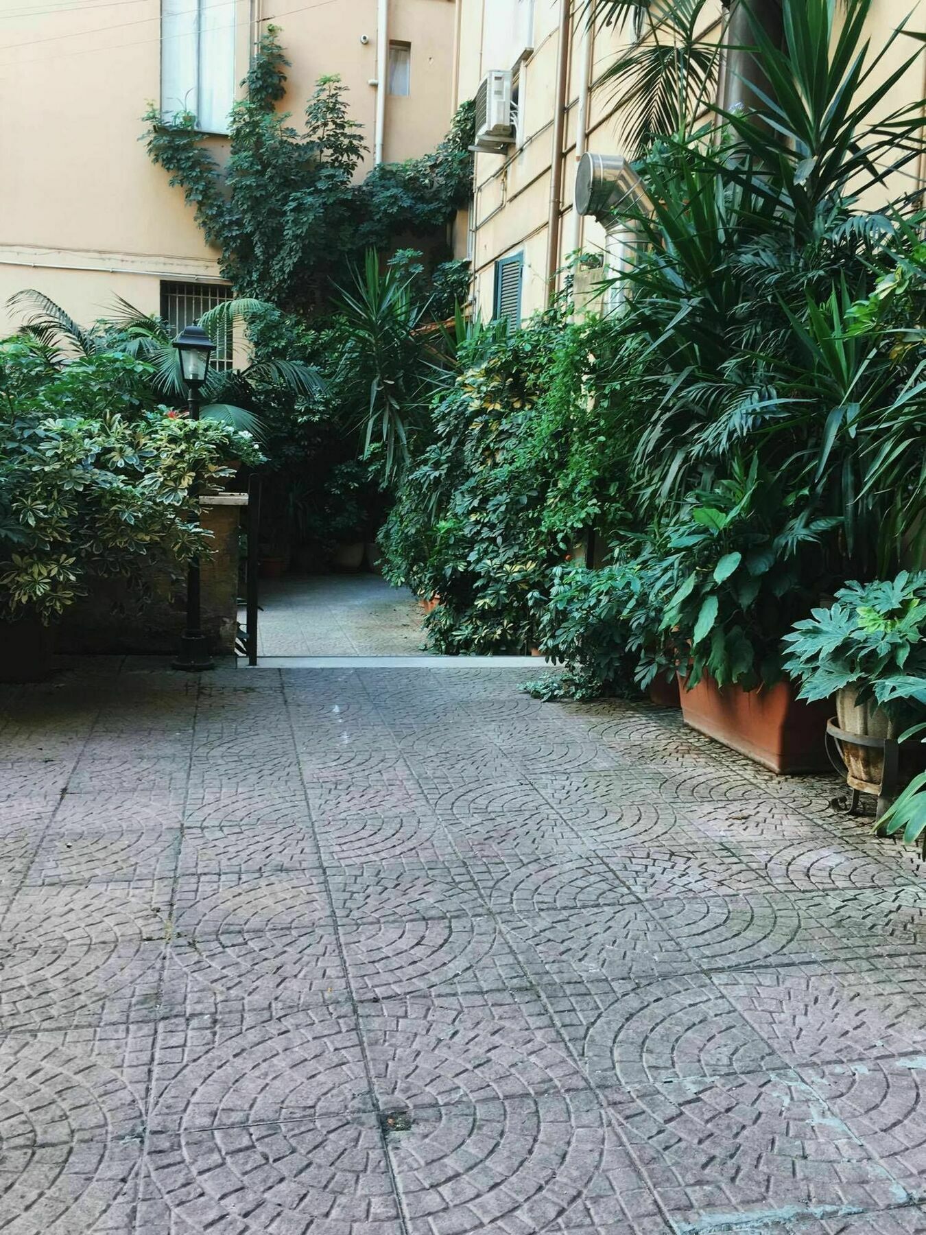 Roman Affittacamere Roma
