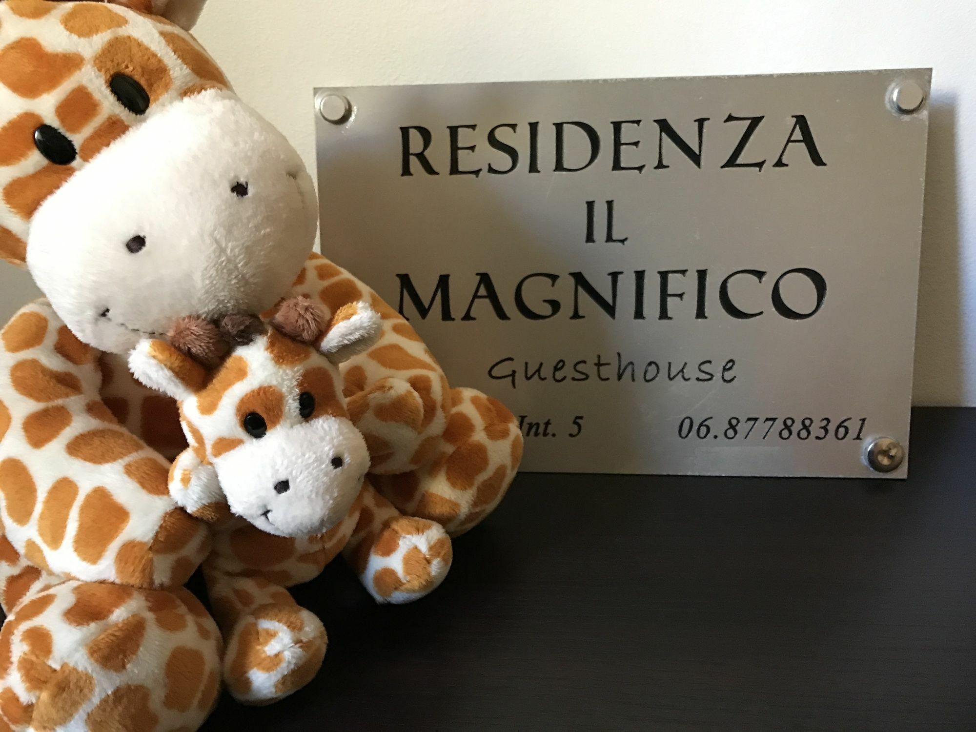 Residenza Il Magnifico Affittacamere Roma
