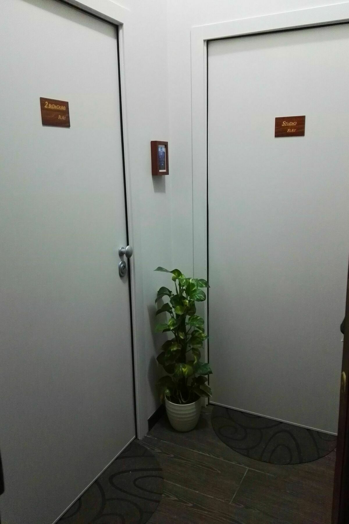 Vatican Santamaura 39