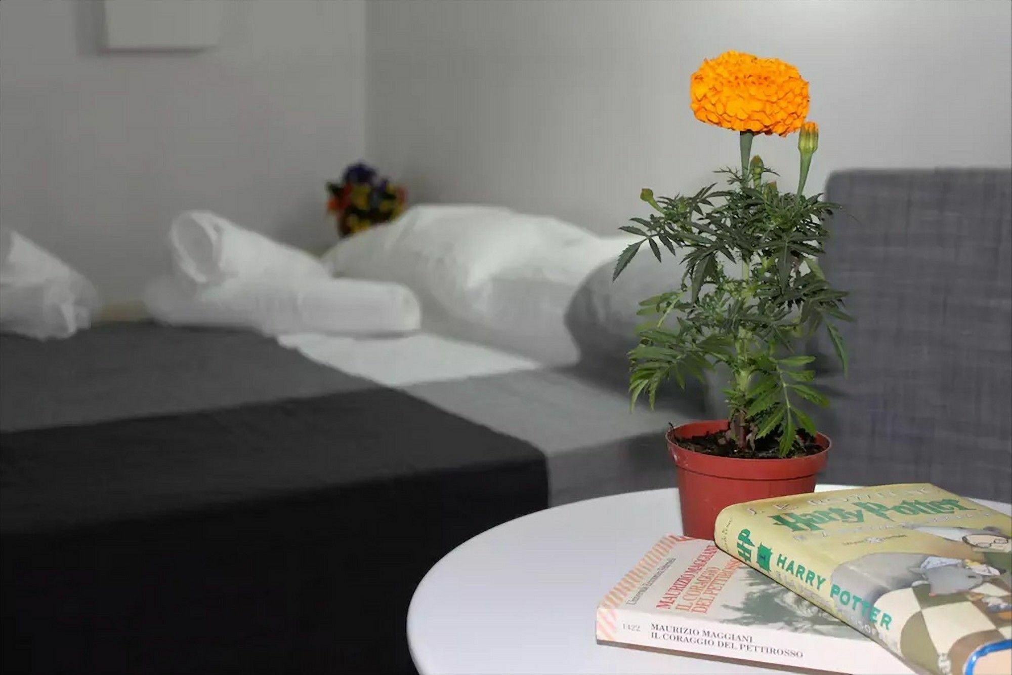 Appartamento Flaminia House Trastevere