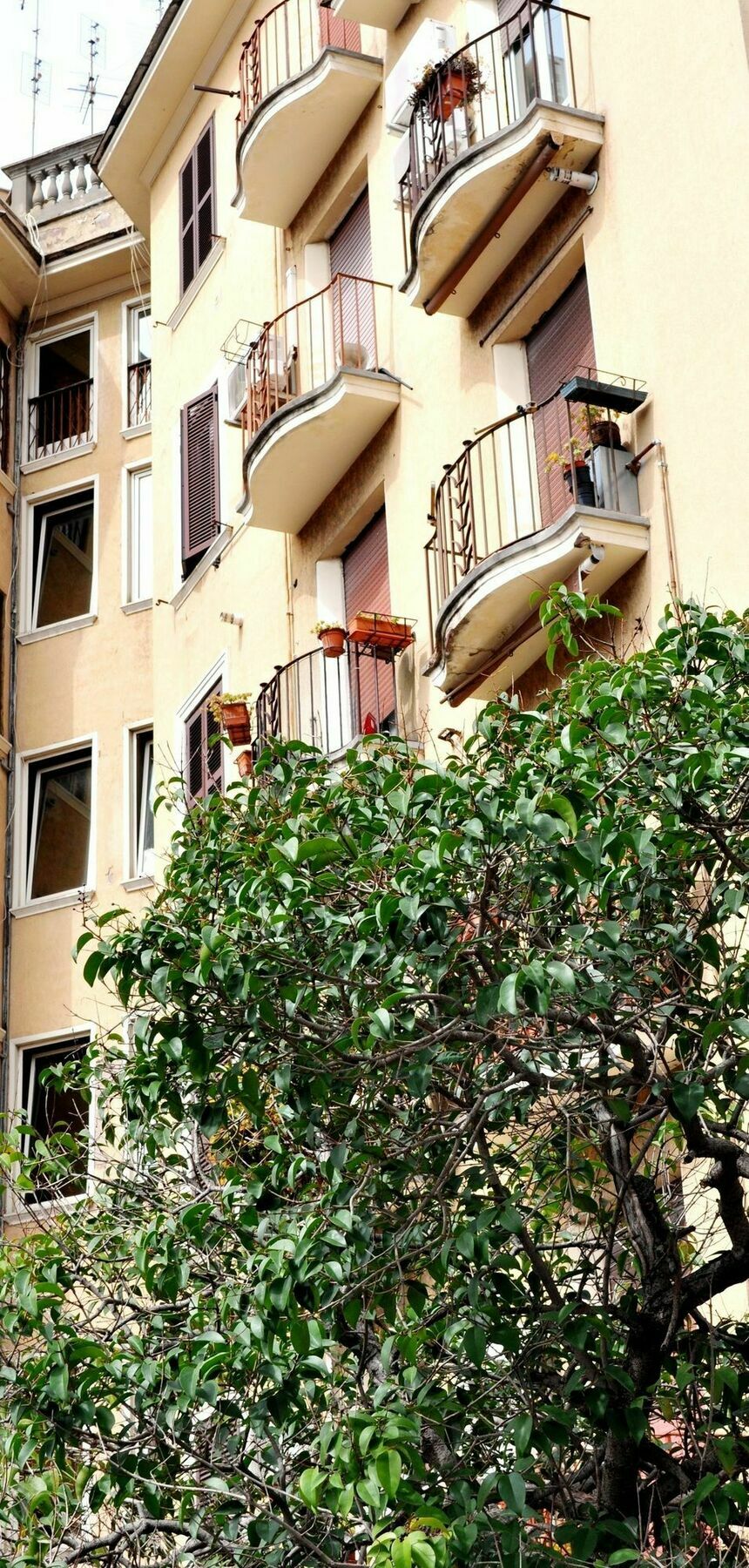 Appartamento Debby *