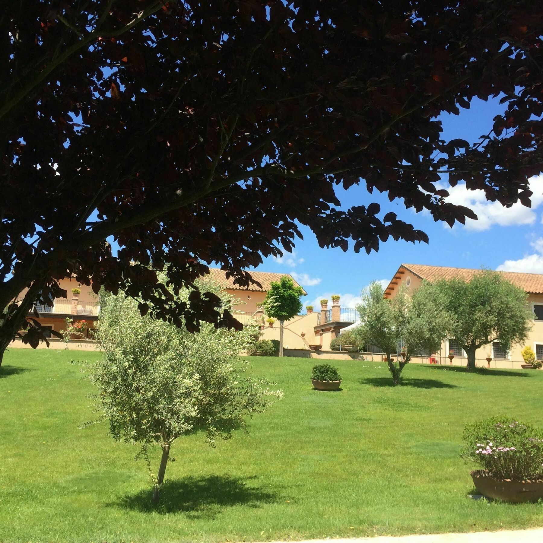 Gjestgiverier Luxardotel Roma
