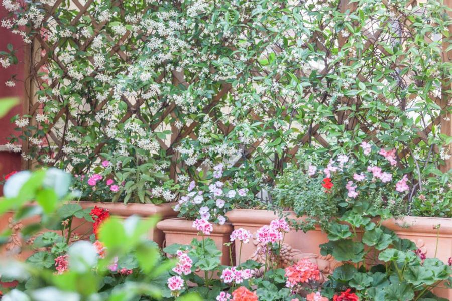 Guest house Casa In Monti