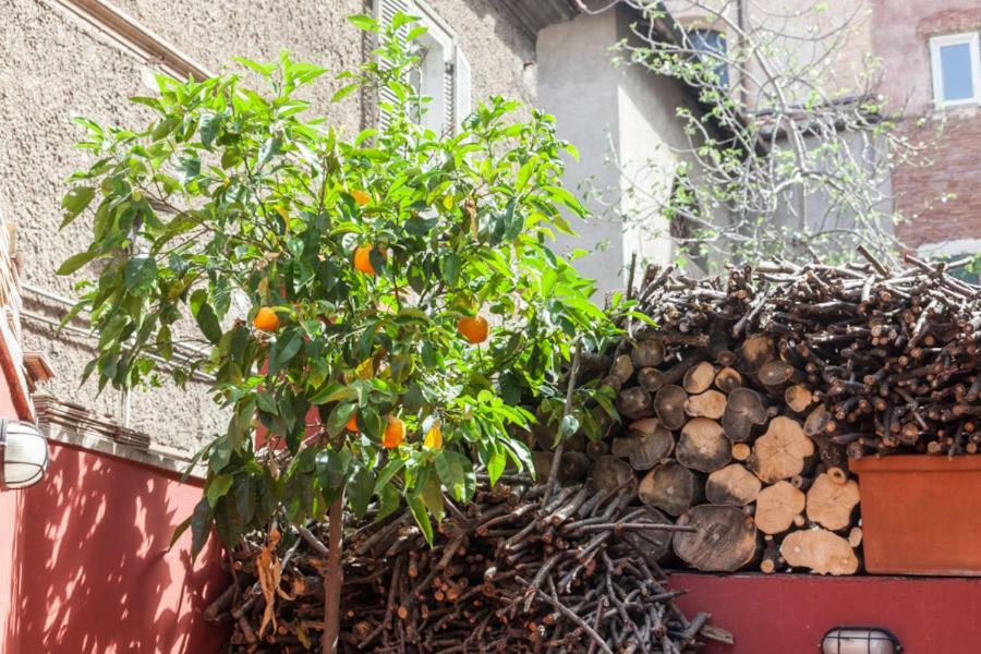 Guest house Casa In Monti
