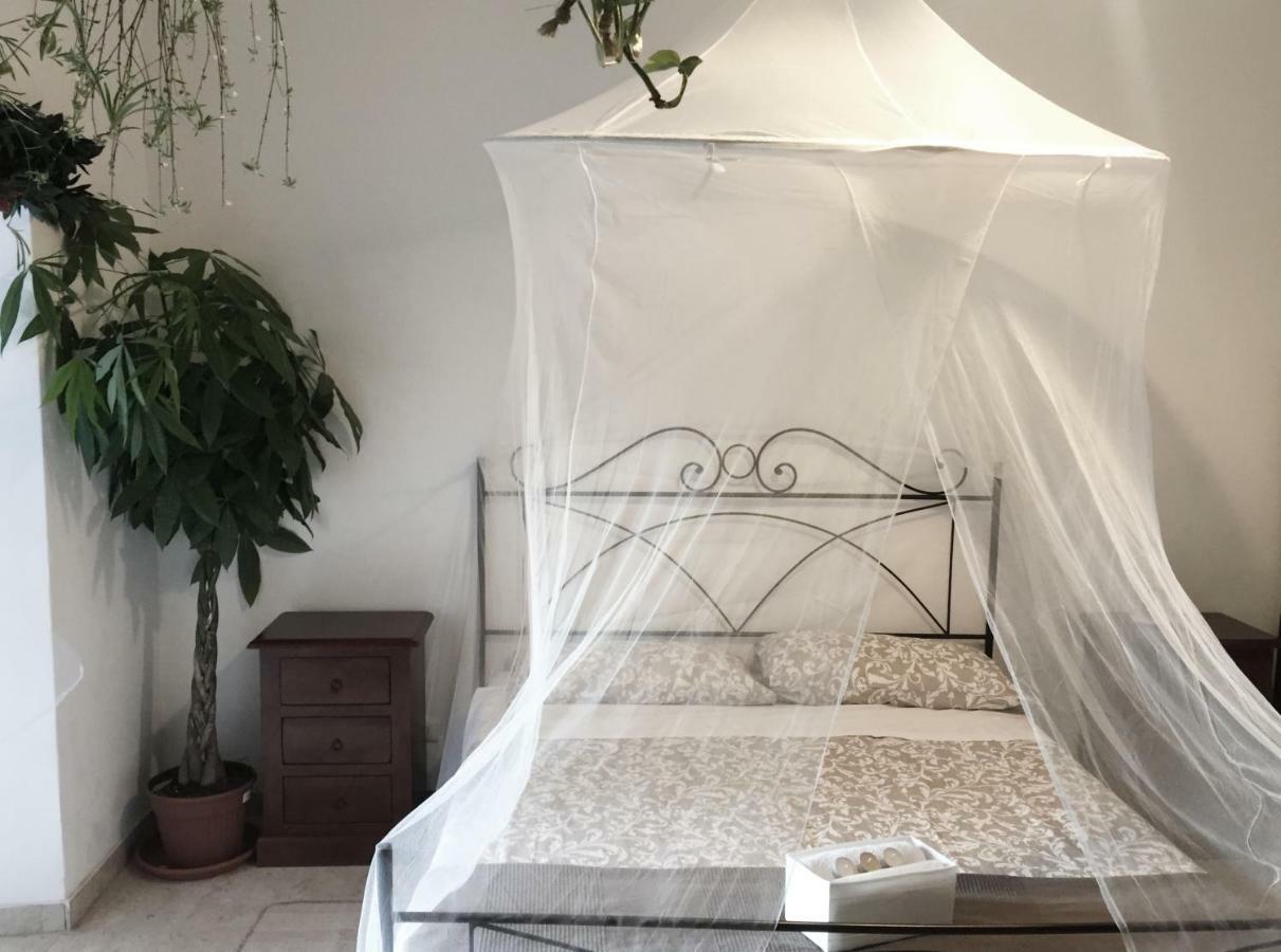 Tempus Hostal