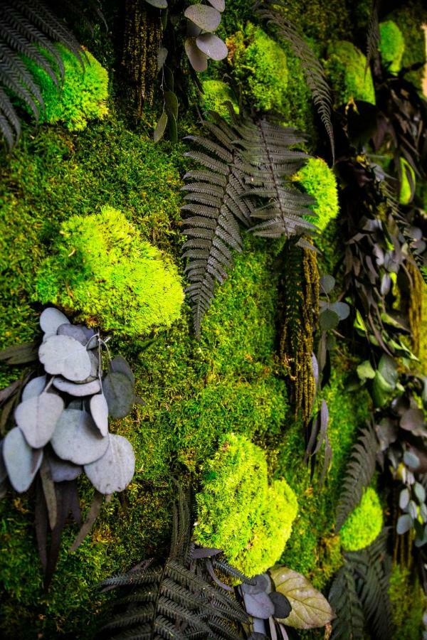 Demetra Eco Gasthof