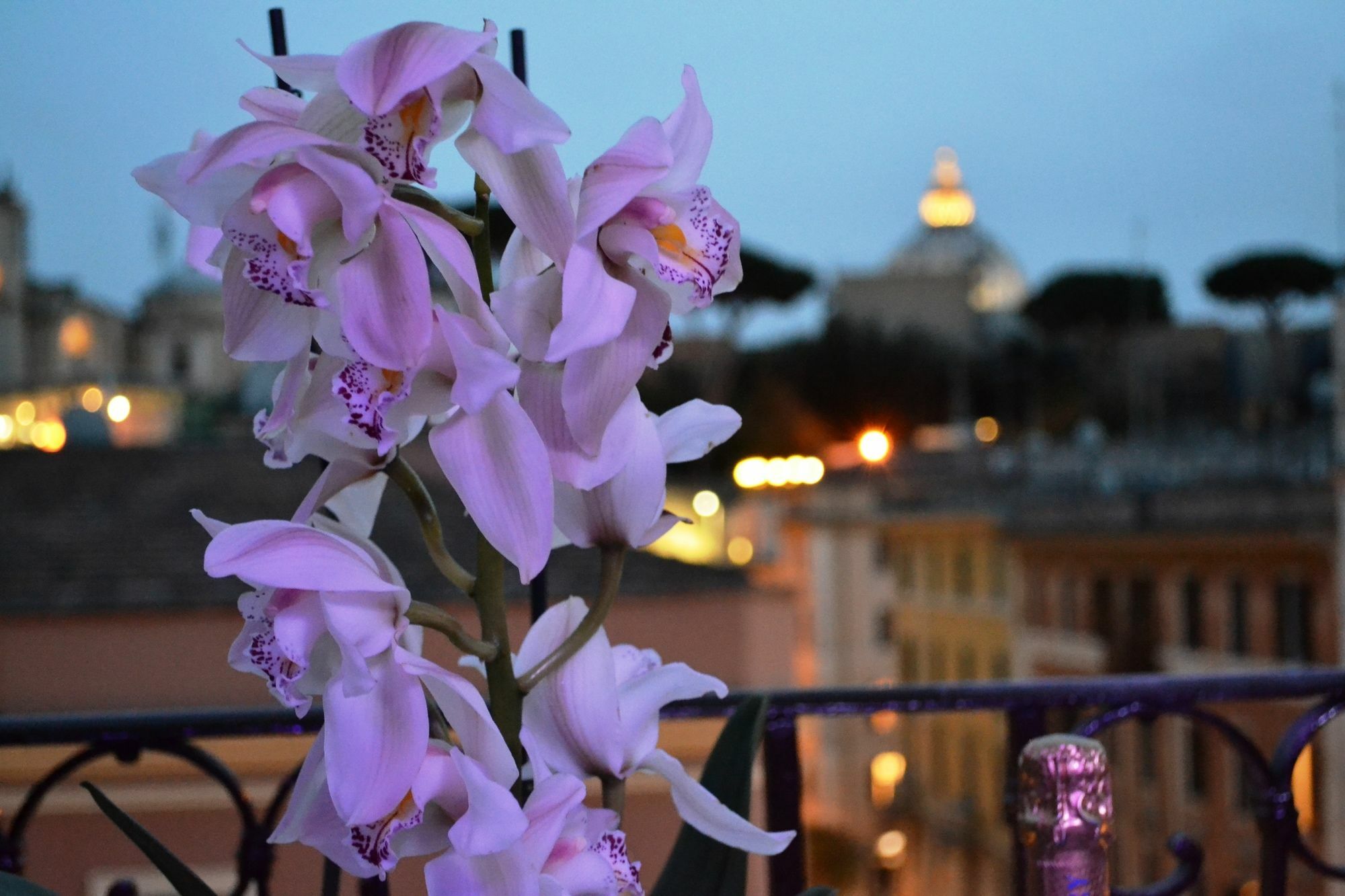 Apartamento Notti Al Vaticano Deluxe St.peter's *