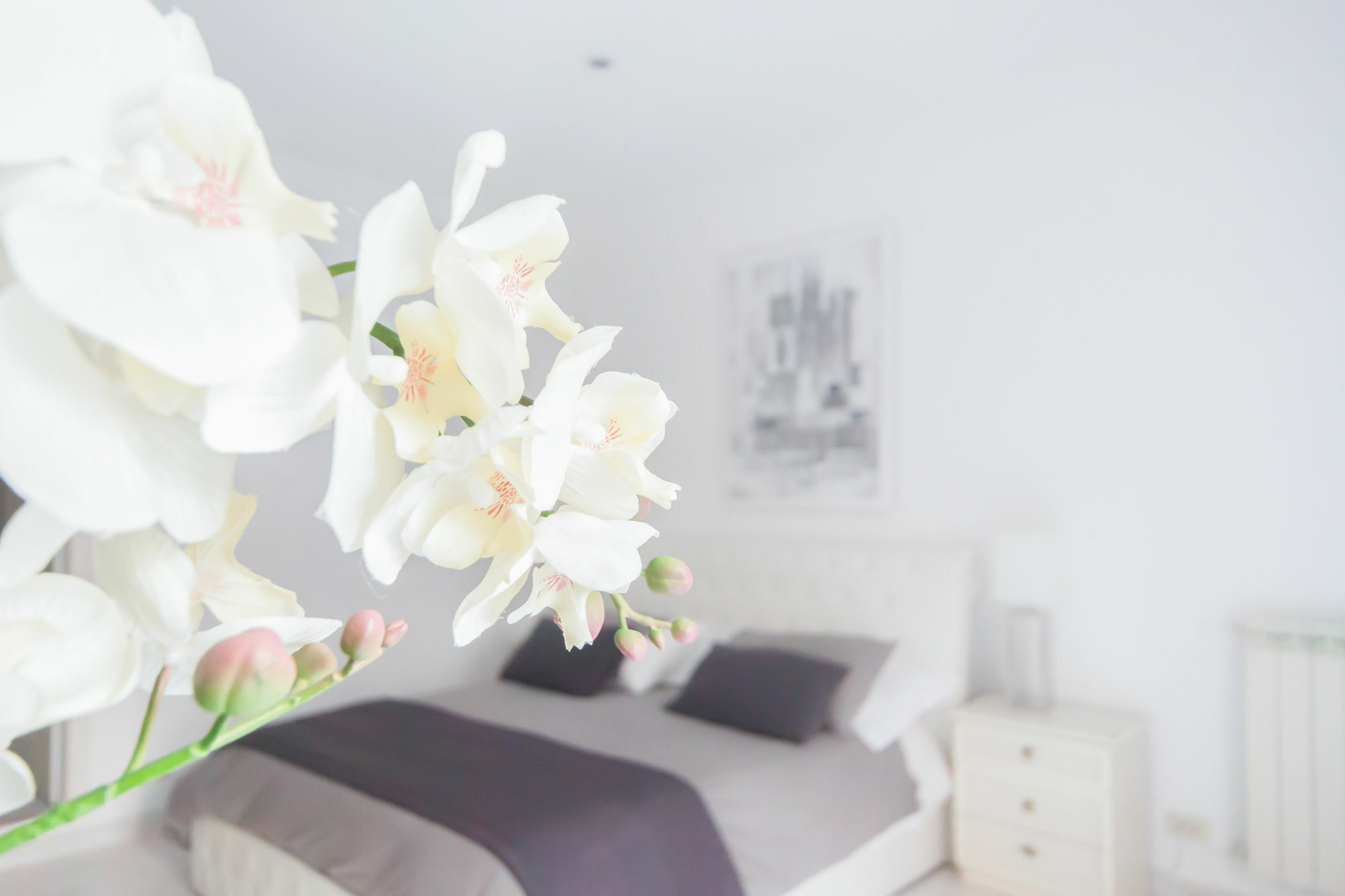 Veneto Exclusive Apartamento Roma