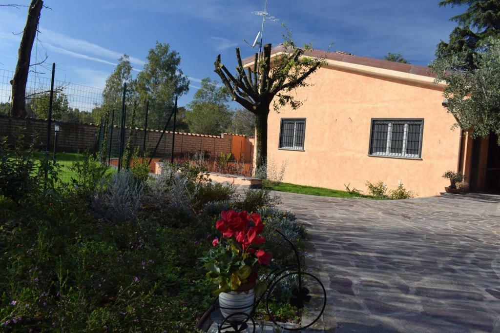 Bed and breakfast Parco Degli Acquedotti *
