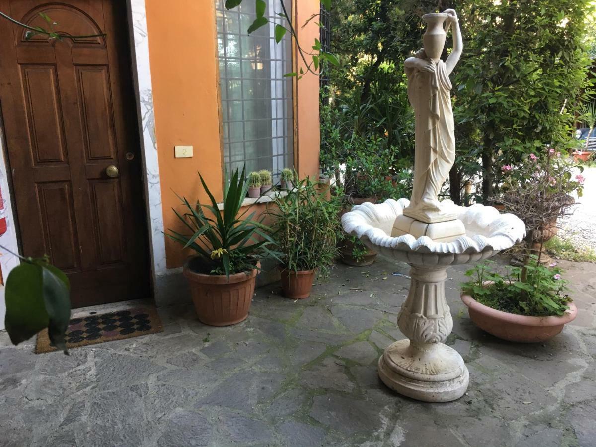 Wilson 2* Rome