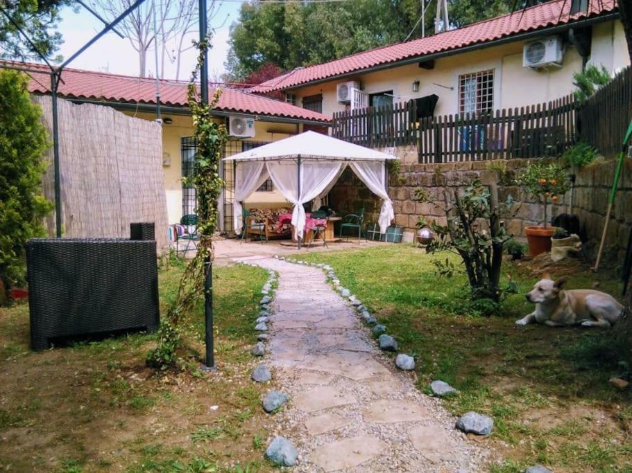 Holiday home Nohipster Domus / Lavanda
