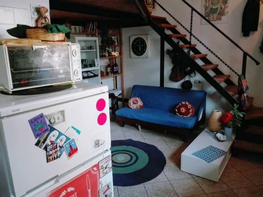 Nohipster Domus / Lavanda Rome