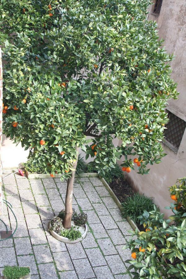 Apartamento Wellnessinnrome Shortlet *