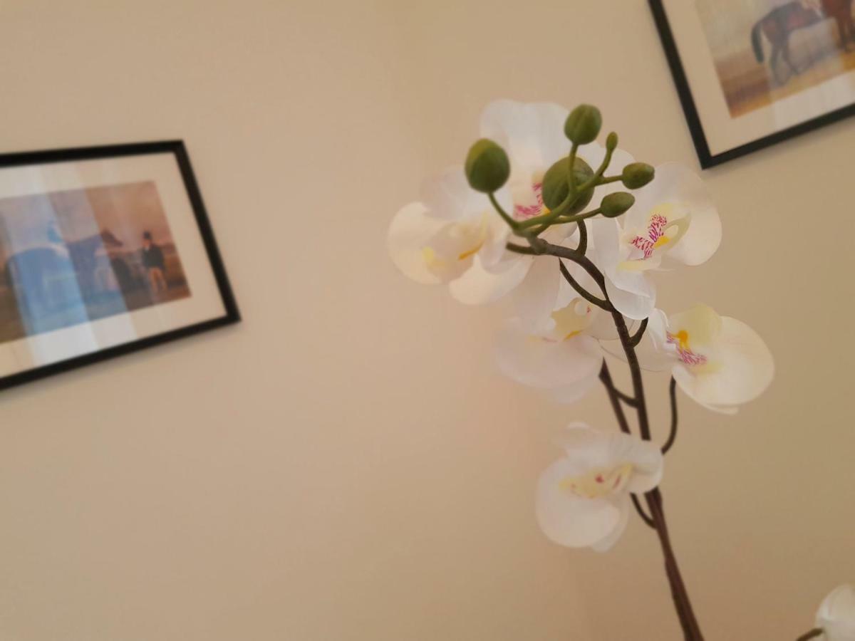 St Paul House Boutique & Apartamento