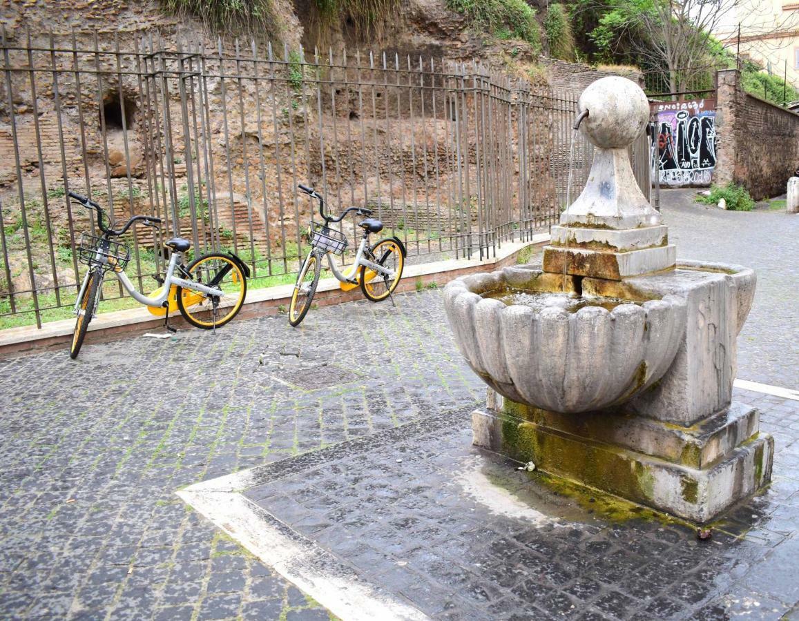 Le Rondini A Roma
