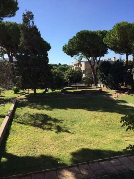 Eurgardenie * Roma