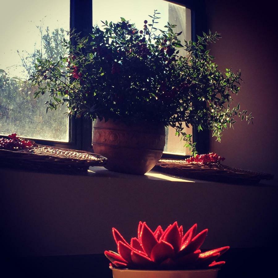 Casale Appio