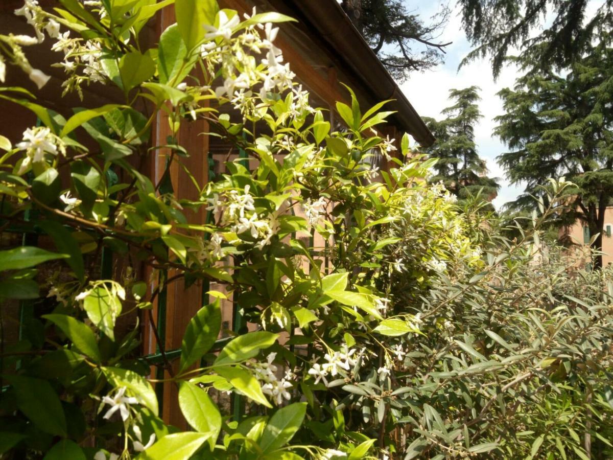 A Casa Di Edi Appartamento *
